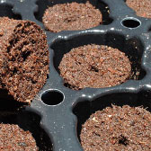 AeroNT™ Propagation Plug