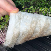 BioStrate® Propagation Felt