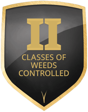 II Classes of Weeds Controlled